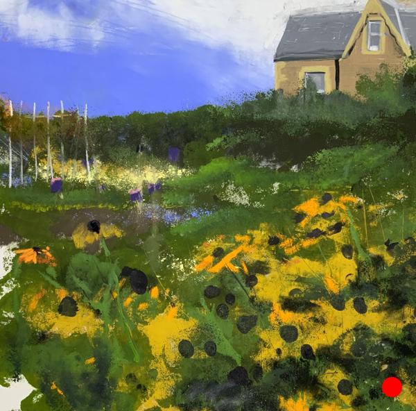 Rudbeckias in the Top Row Allotments