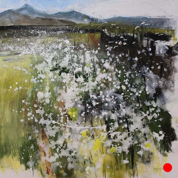 Flowers At Baggra Yeat