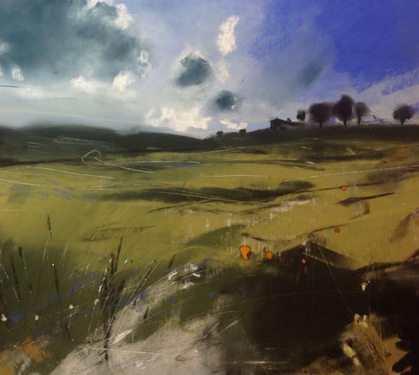 A Summer evening on Caldbeck Common