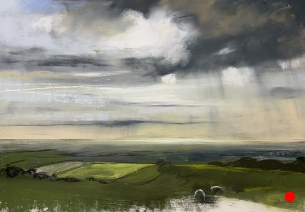 Evening Ewes and the Solway from Head End