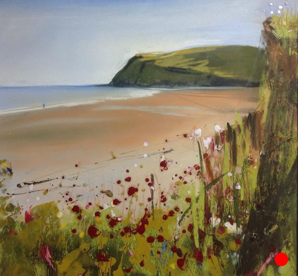 Summer at St Bees Head