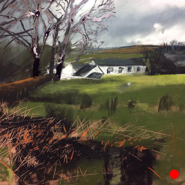 Fresh clipped hedges by Manor Farm