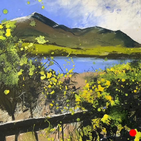Spring Gorse, Overwater