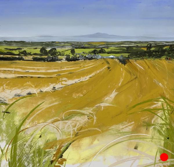 Criffel from Bothel, Mid Summer