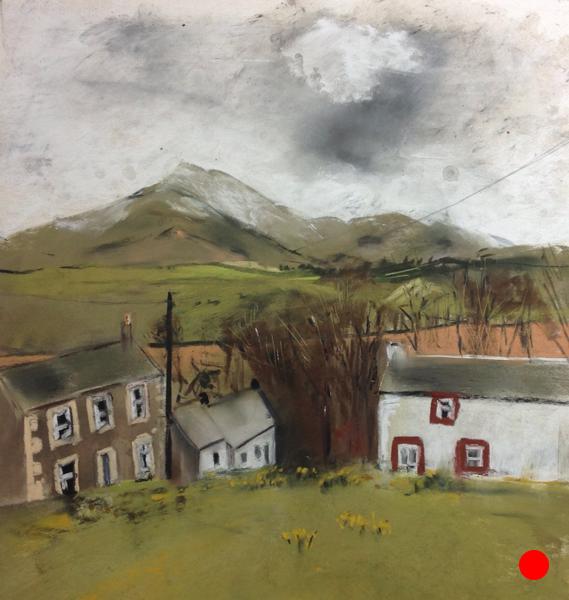 Daffodils at Bolton Gate