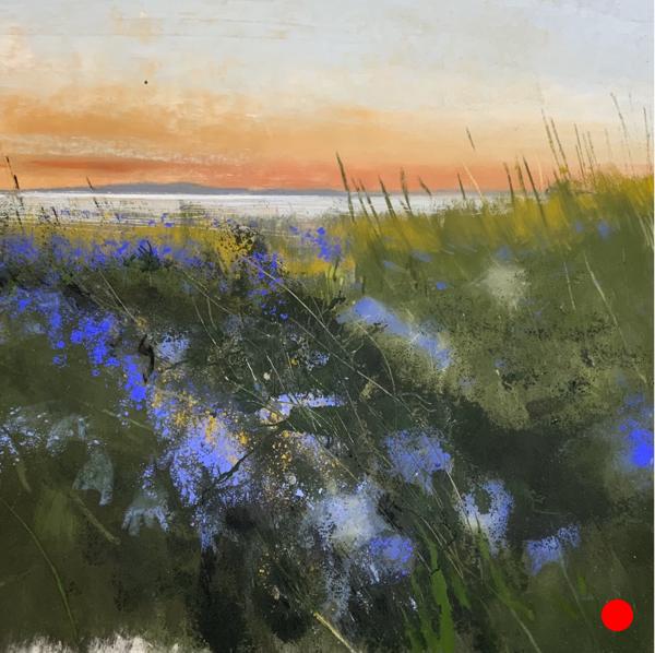 Harebells and the Solway from Allonby